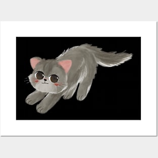 Timmy the Grey cat Posters and Art